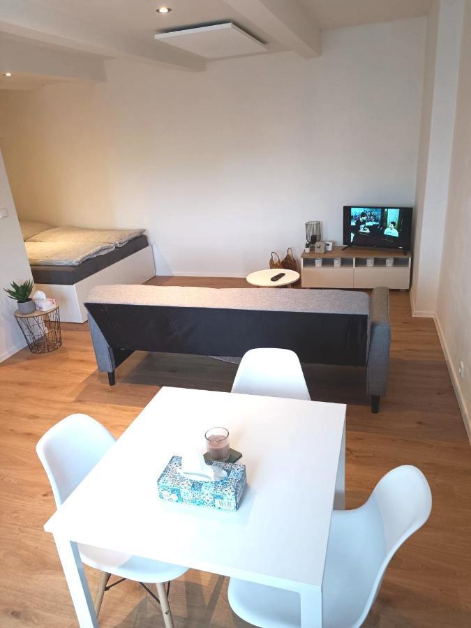 Zoo Karlovarska Apartment Plzeň Dış mekan fotoğraf